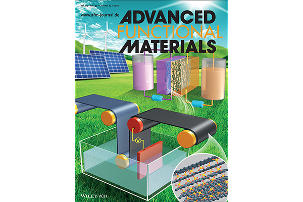 cover of advanced functional materials